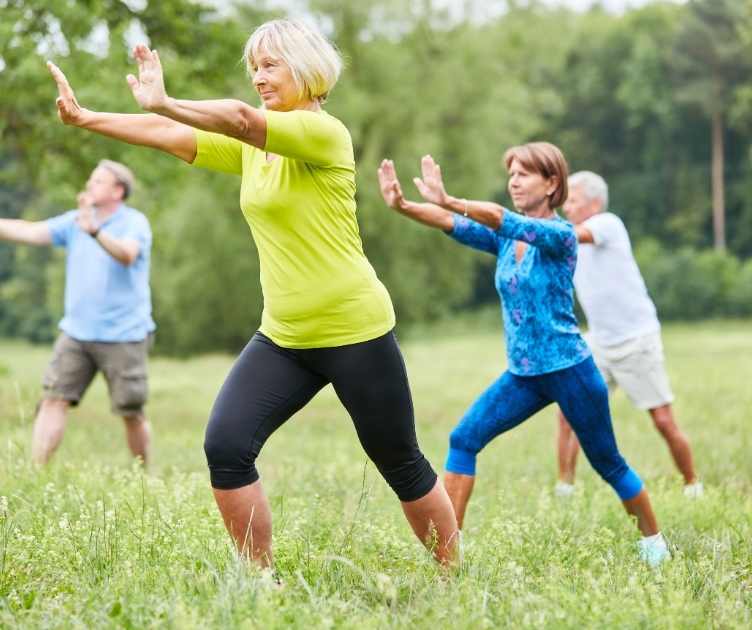 senior shape fitness youtube