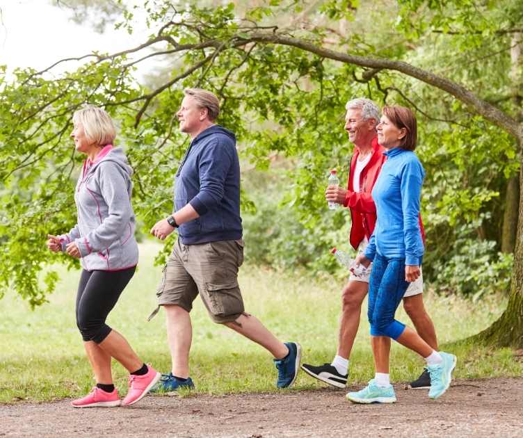 free senior fitness workouts